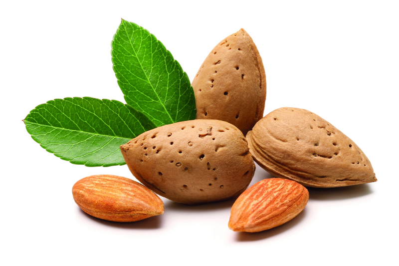 Mandorle